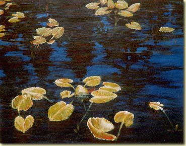Lily Pads - Cypress Mountain at dusk